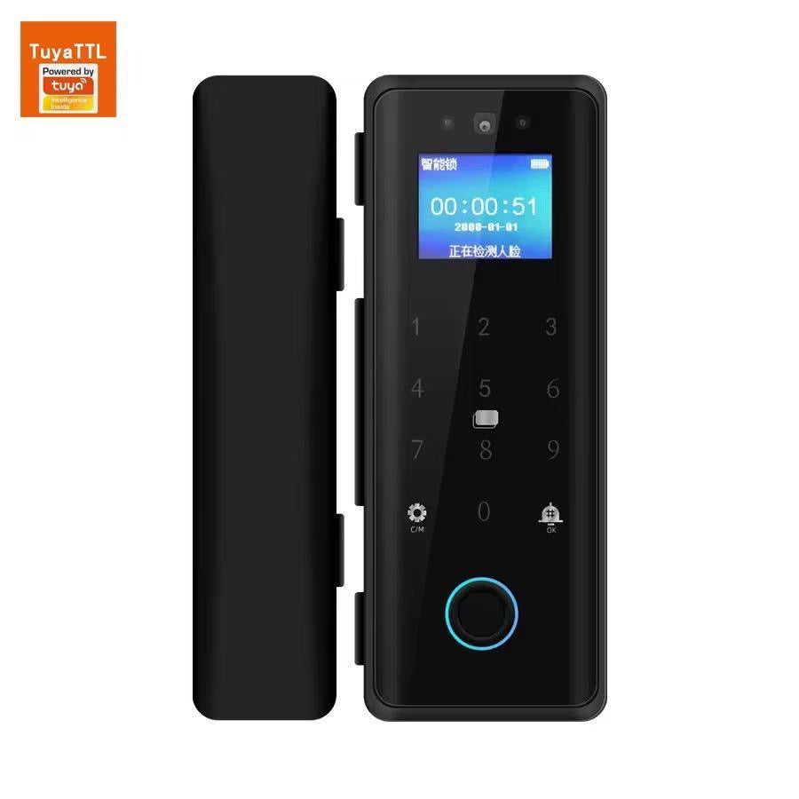 Smart glass door WIFI TUYA